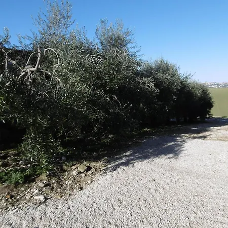 Pleasant Tent With Swimming Pool * Fermo