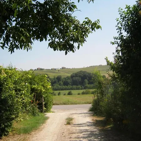 Pleasant Tent With Swimming Pool Fermo