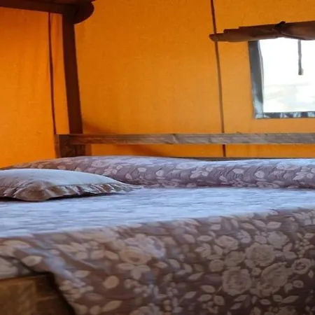 Pleasant Tent With Swimming Pool Fermo