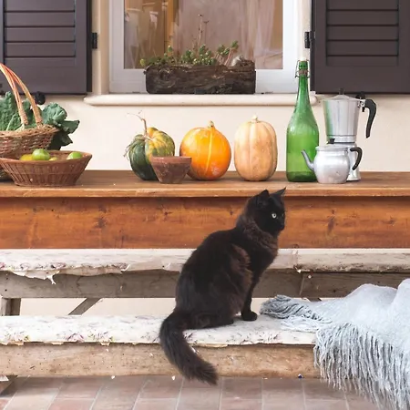 Campismo de Luxo Pleasant Tent With Swimming Pool *