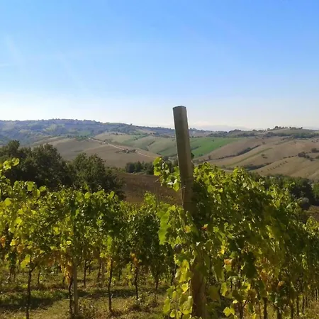 Campismo de Luxo Pleasant Tent With Swimming Pool Fermo