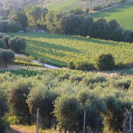 Pleasant Tent With Swimming Pool Campismo de Luxo *